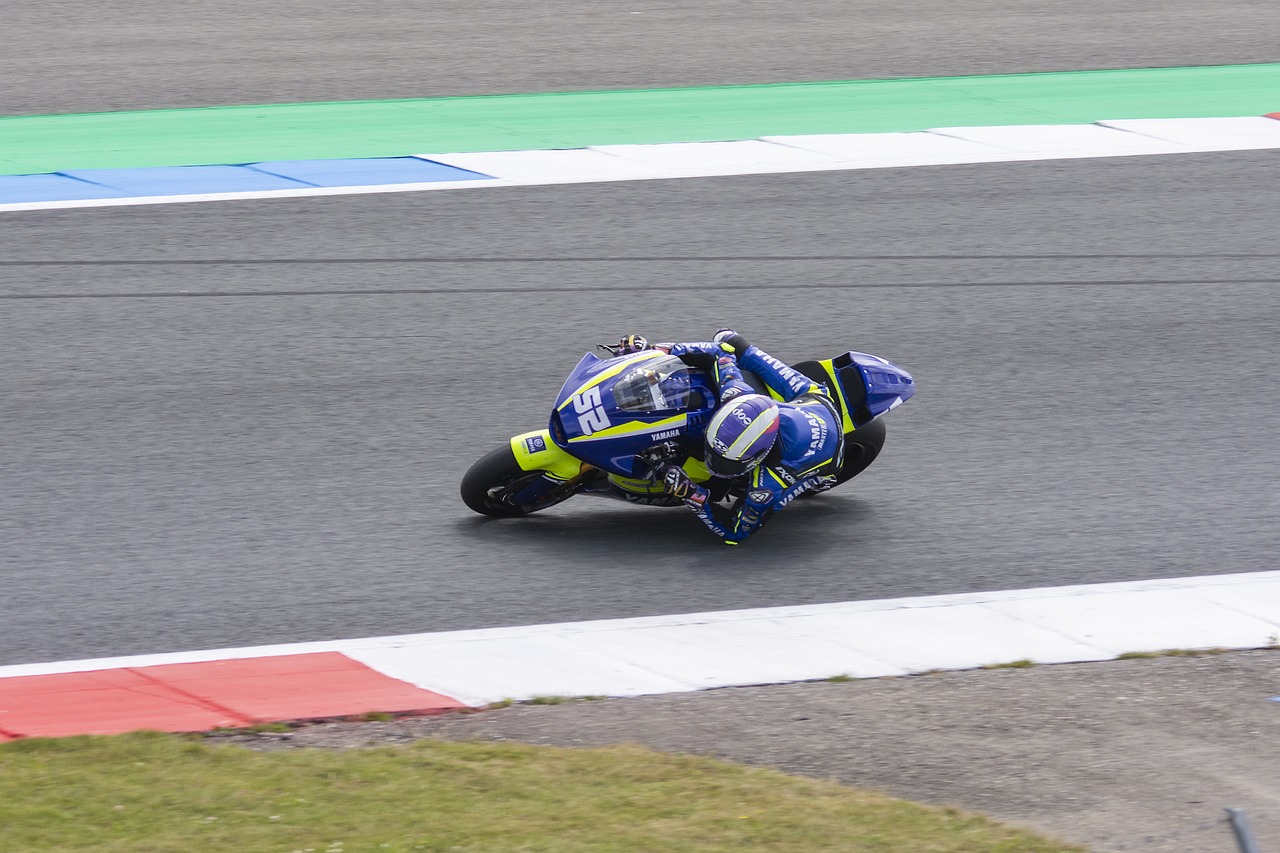 适应能力 适应能力