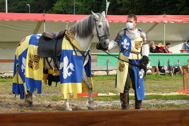 增长的快递 增长的快递