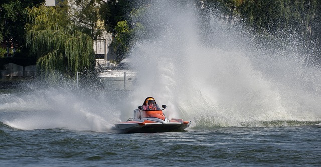 在未来的国 在未来的国