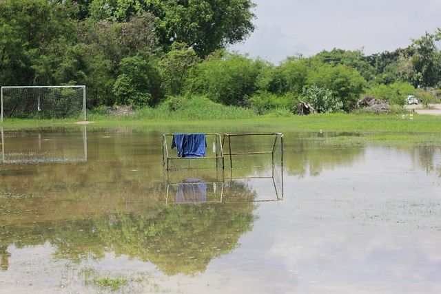 表现不仅帮 表现不仅帮