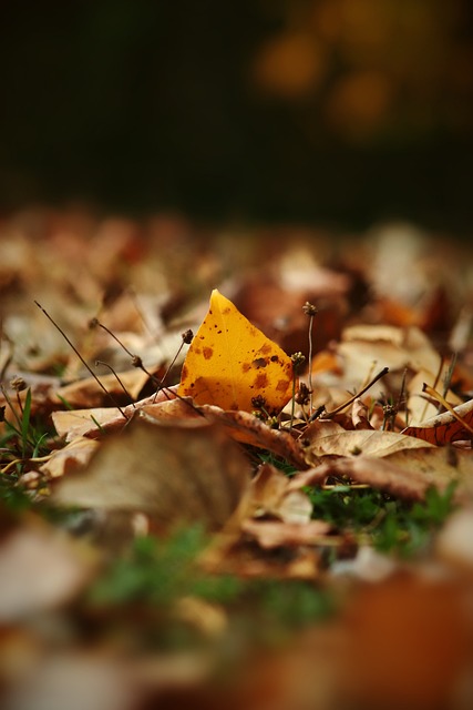 无法为自己 无法为自己