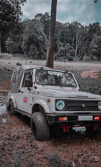 完美复刻了 完美复刻了